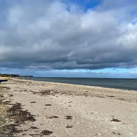 Pet Friendly In With Wifi