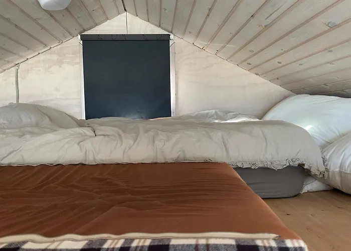 Pet Friendly In With Wifi *