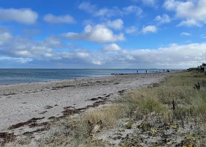 Pet Friendly In With Wifi